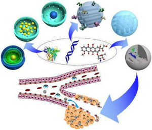 Application of multi walled carbon nanotubes in the field of drug delivery