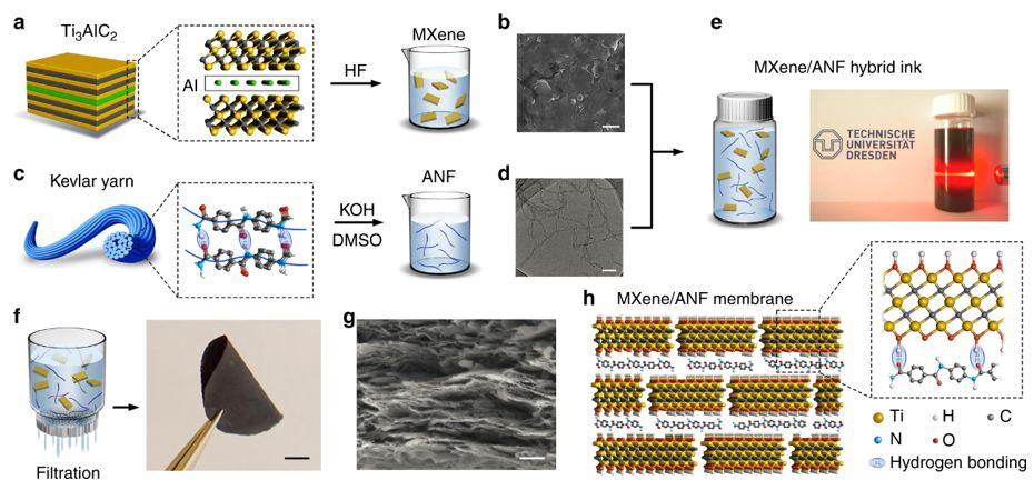 8ba3af778bdf2926c445f32016857344 8ba3af778bdf2926c445f32016857344